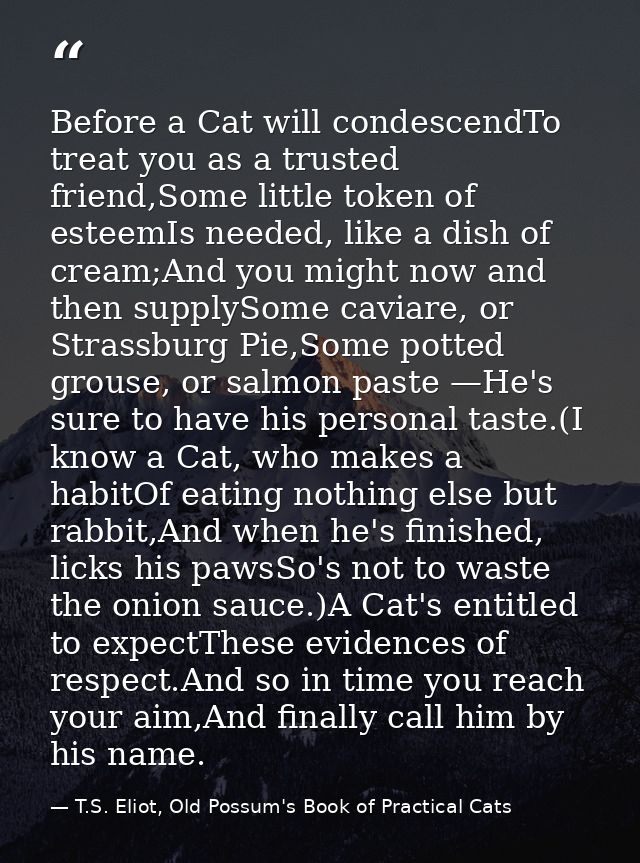 Before a Cat will condescendTo treat you as a trusted friend,Some little token of esteemIs needed, like a dish of cream; — T.S. Eliot, Old Possum's Book of Practical Cats