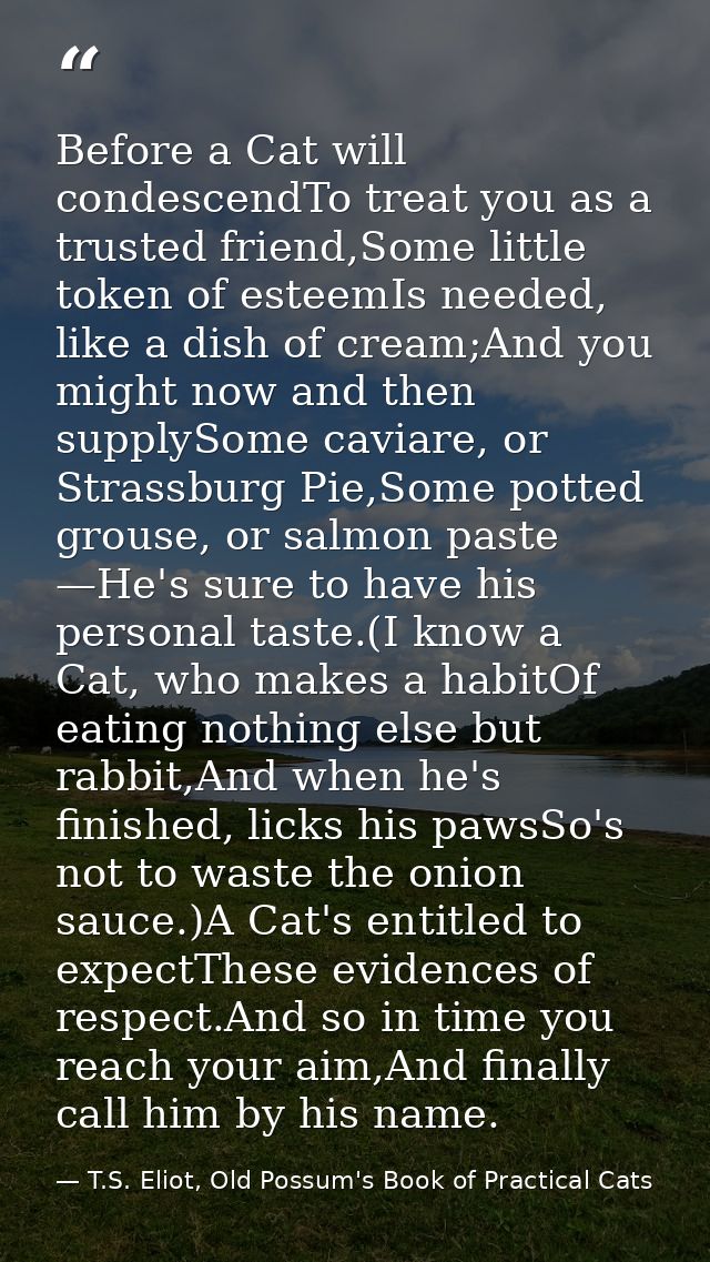 Before a Cat will condescendTo treat you as a trusted friend,Some little token of esteemIs needed, like a dish of cream; — T.S. Eliot, Old Possum's Book of Practical Cats