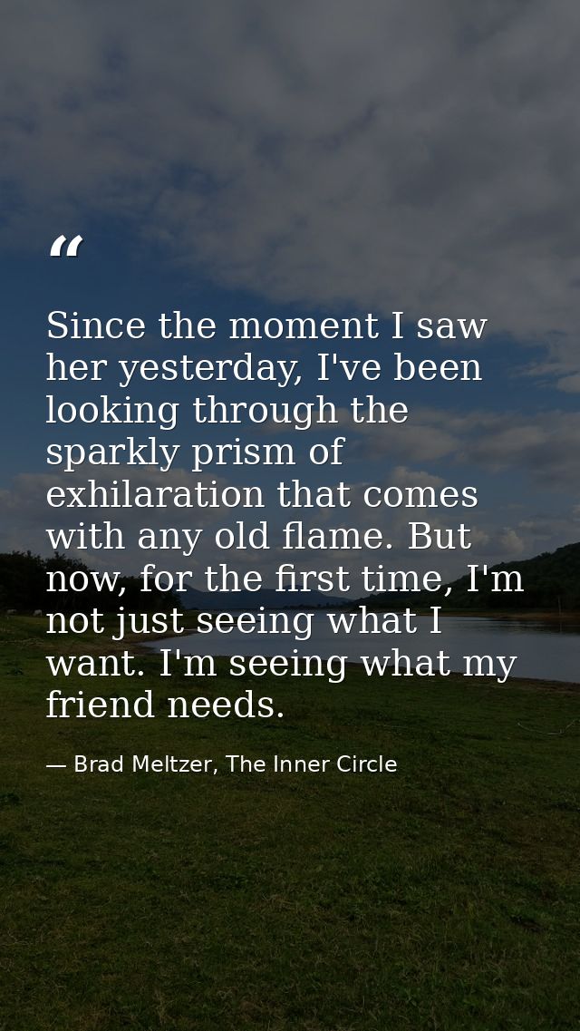 Since the moment I saw her yesterday, I've been looking through the sparkly prism of exhilaration that comes with any ol — Brad Meltzer, The Inner Circle