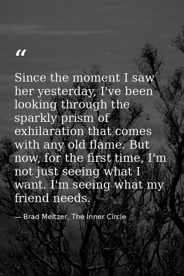 Since the moment I saw her yesterday, I've been looking through the sparkly prism of exhilaration that comes with any ol — Brad Meltzer, The Inner Circle