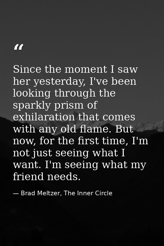 Since the moment I saw her yesterday, I've been looking through the sparkly prism of exhilaration that comes with any ol — Brad Meltzer, The Inner Circle