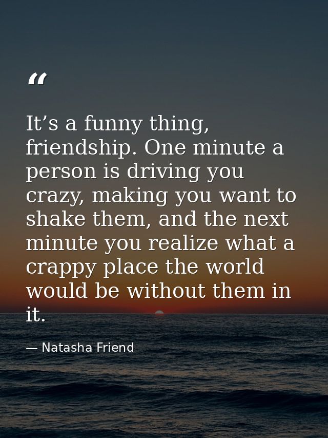 It’s a funny thing, friendship. One minute a person is driving you crazy, making you want to shake them, and the next mi — Natasha Friend