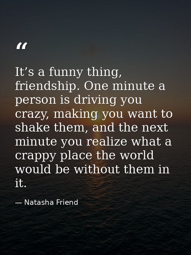 It’s a funny thing, friendship. One minute a person is driving you crazy, making you want to shake them, and the next mi — Natasha Friend