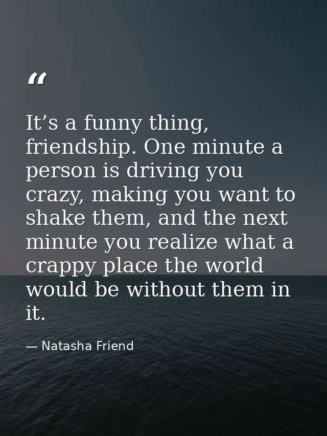 It’s a funny thing, friendship. One minute a person is driving you crazy, making you want to shake them, and the next mi — Natasha Friend