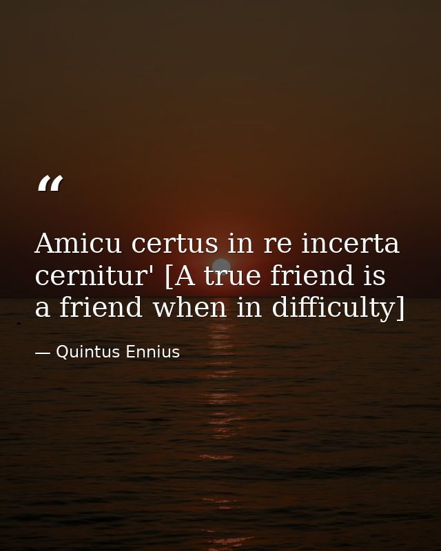 Amicu certus in re incerta cernitur' [A true friend is a friend when in difficulty] — Quintus Ennius