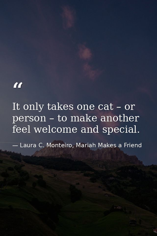It only takes one cat – or person – to make another feel welcome and special. — Laura C. Monteiro, Mariah Makes a Friend