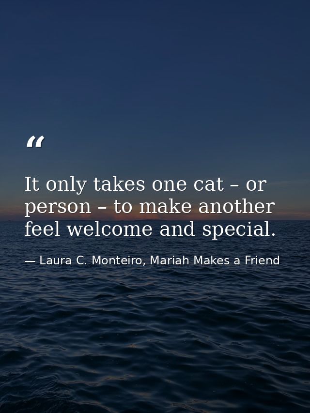 It only takes one cat – or person – to make another feel welcome and special. — Laura C. Monteiro, Mariah Makes a Friend