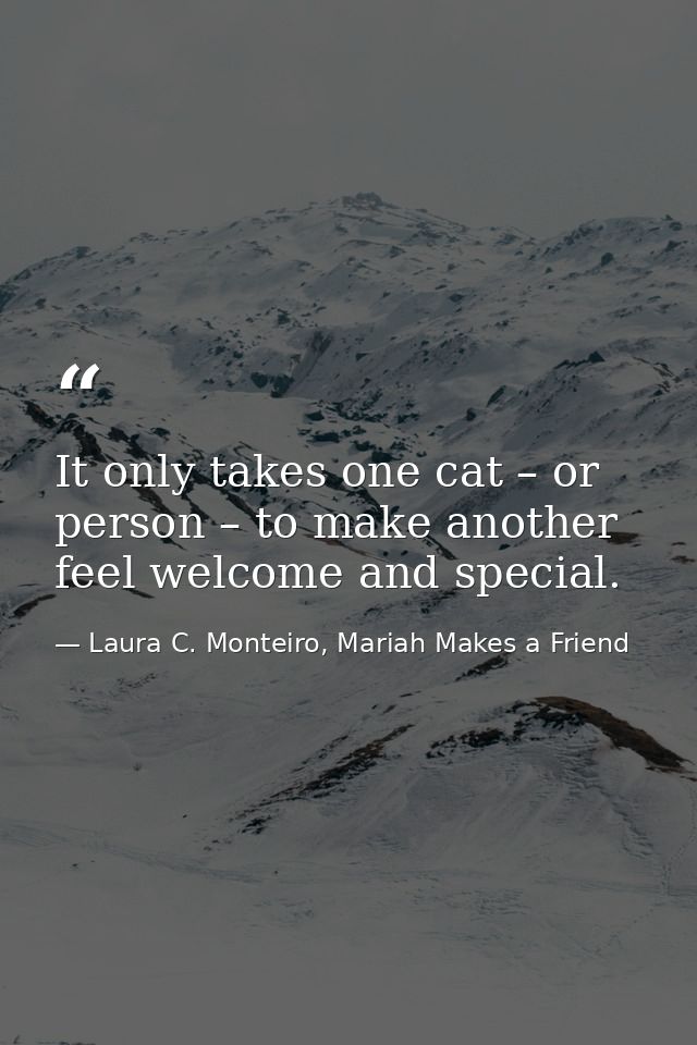 It only takes one cat – or person – to make another feel welcome and special. — Laura C. Monteiro, Mariah Makes a Friend