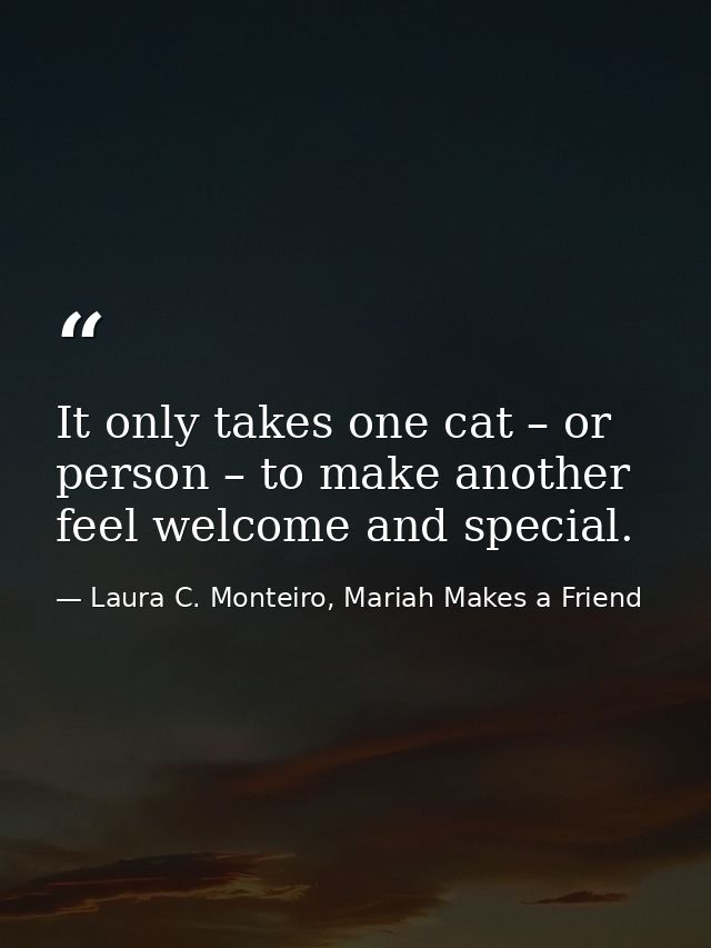 It only takes one cat – or person – to make another feel welcome and special. — Laura C. Monteiro, Mariah Makes a Friend