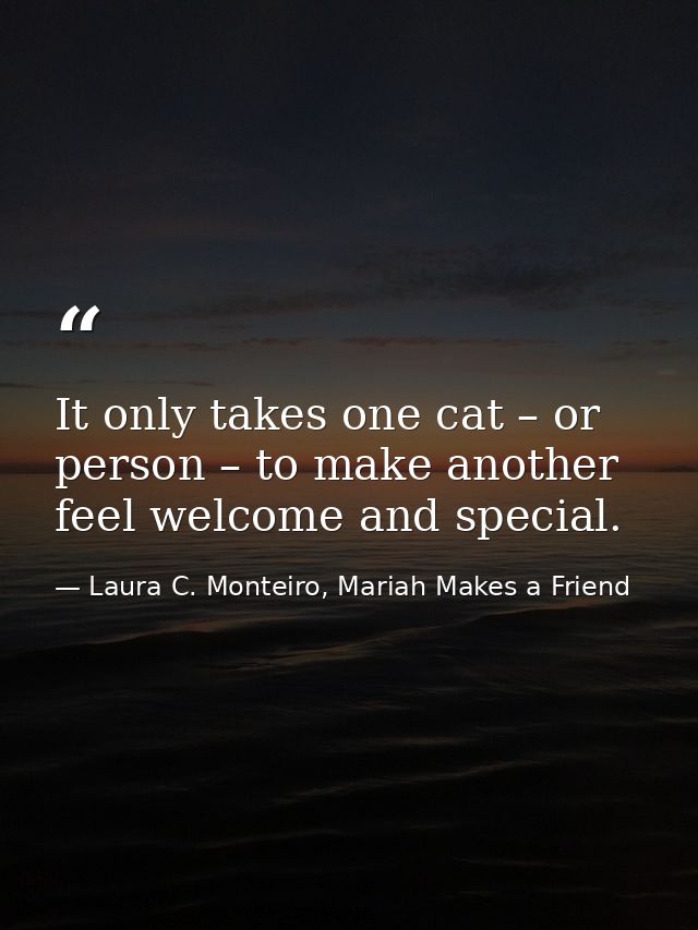 It only takes one cat – or person – to make another feel welcome and special. — Laura C. Monteiro, Mariah Makes a Friend