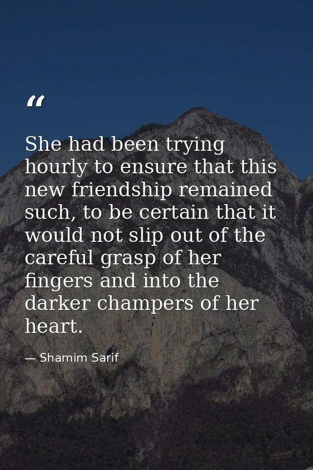 She had been trying hourly to ensure that this new friendship remained such, to be certain that it would not slip out of — Shamim Sarif