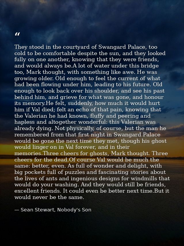 They stood in the courtyard of Swangard Palace, too cold to be comfortable despite the sun, and they looked fully on one — Sean Stewart, Nobody's Son