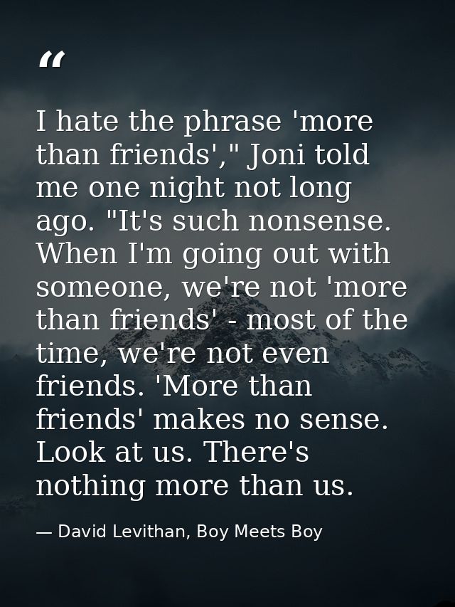 I hate the phrase 'more than friends'," Joni told me one night not long ago. "It's such nonsense. When I'm going out wit — David Levithan, Boy Meets Boy