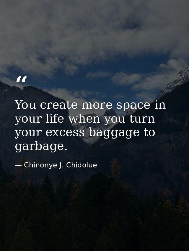 You create more space in your life when you turn your excess baggage to garbage. — Chinonye J. Chidolue