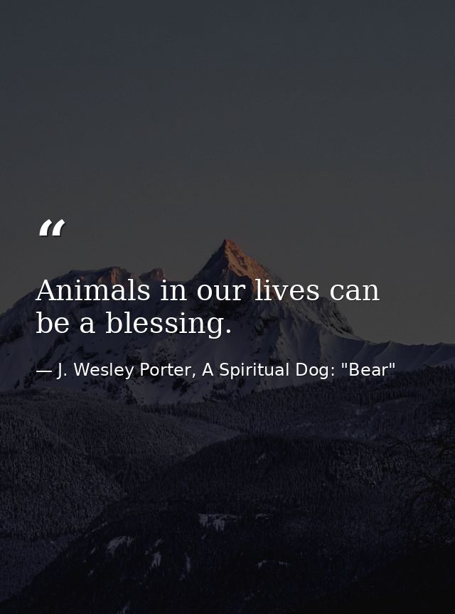 Animals in our lives can be a blessing. — J. Wesley Porter, A Spiritual Dog: "Bear"