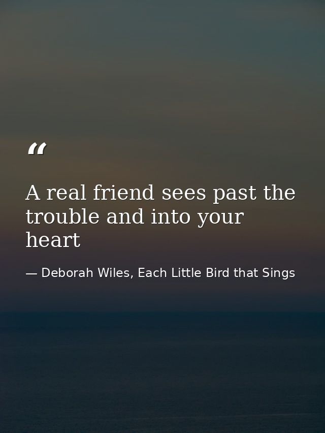 A real friend sees past the trouble and into your heart — Deborah Wiles, Each Little Bird that Sings