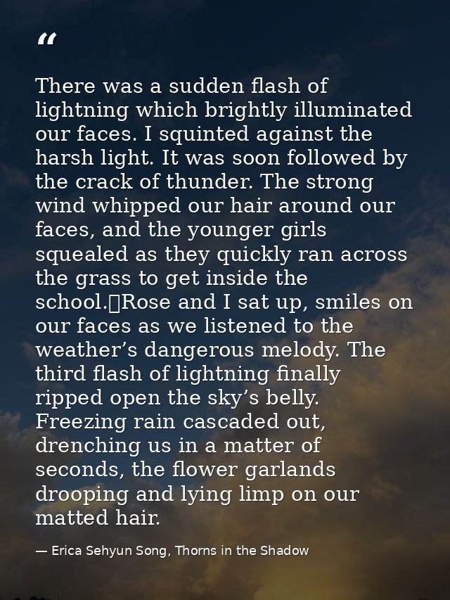 There was a sudden flash of lightning which brightly illuminated our faces. I squinted against the harsh light. It was s — Erica Sehyun Song, Thorns in the Shadow