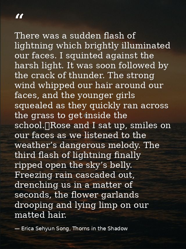 There was a sudden flash of lightning which brightly illuminated our faces. I squinted against the harsh light. It was s — Erica Sehyun Song, Thorns in the Shadow