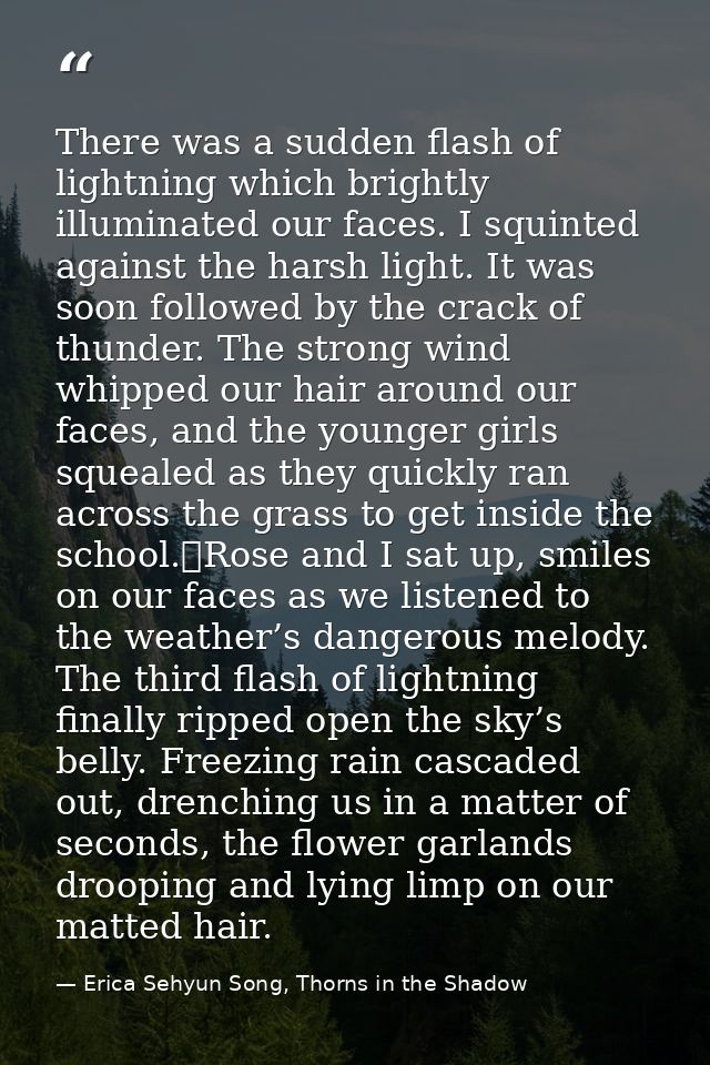 There was a sudden flash of lightning which brightly illuminated our faces. I squinted against the harsh light. It was s — Erica Sehyun Song, Thorns in the Shadow