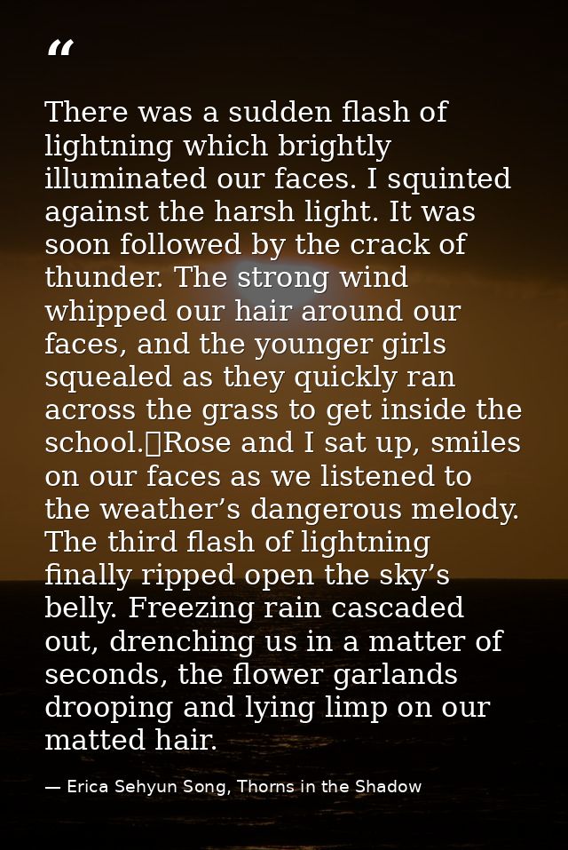 There was a sudden flash of lightning which brightly illuminated our faces. I squinted against the harsh light. It was s — Erica Sehyun Song, Thorns in the Shadow