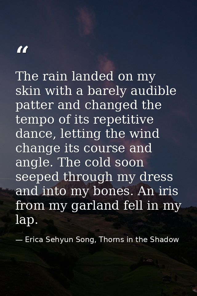The rain landed on my skin with a barely audible patter and changed the tempo of its repetitive dance, letting the wind  — Erica Sehyun Song, Thorns in the Shadow