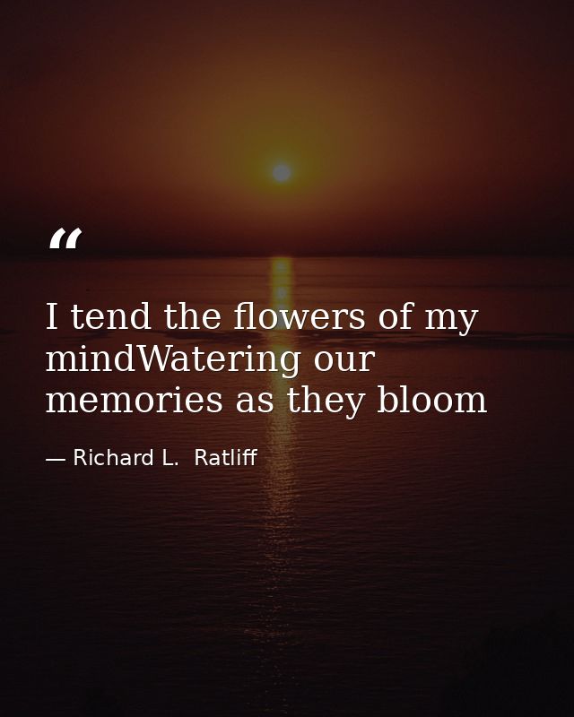 I tend the flowers of my mindWatering our memories as they bloom — Richard L.  Ratliff