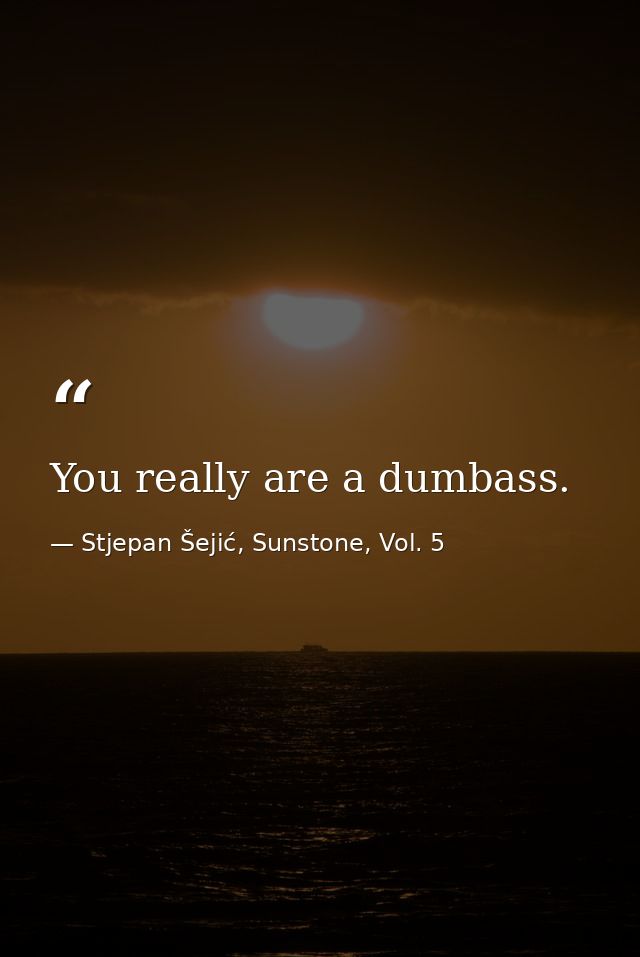 You really are a dumbass. — Stjepan Šejić, Sunstone, Vol. 5