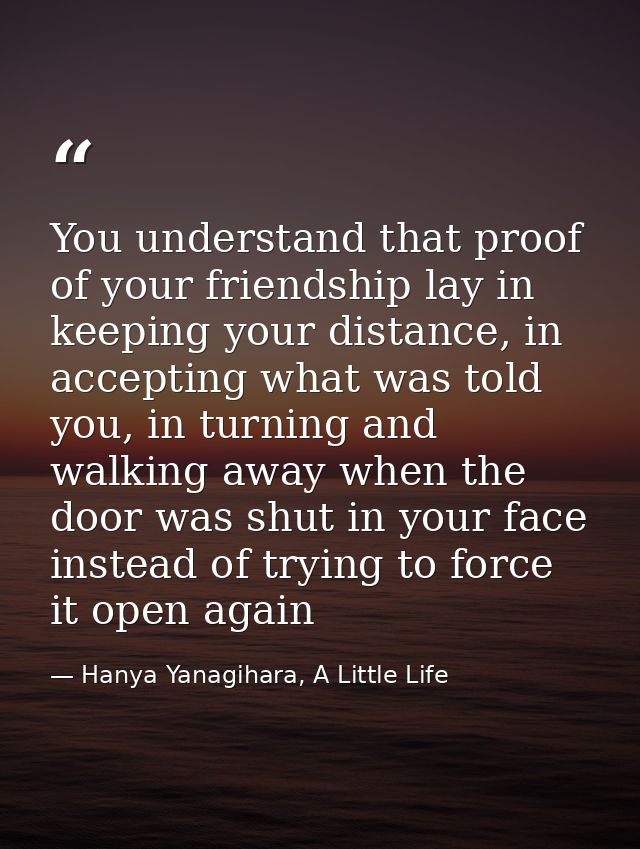 You understand that proof of your friendship lay in keeping your distance, in accepting what was told you, in turning an — Hanya Yanagihara, A Little Life