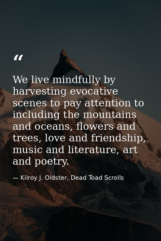 We live mindfully by harvesting evocative scenes to pay attention to including the mountains and oceans, flowers and tre — Kilroy J. Oldster, Dead Toad Scrolls
