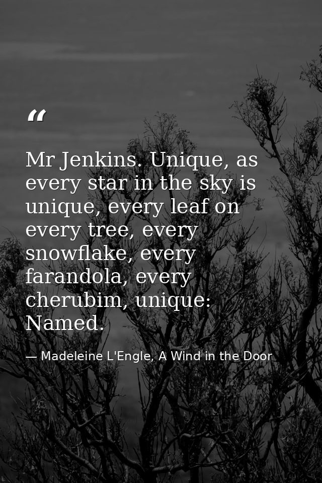 Mr Jenkins. Unique, as every star in the sky is unique, every leaf on every tree, every snowflake, every farandola, ever — Madeleine L'Engle, A Wind in the Door