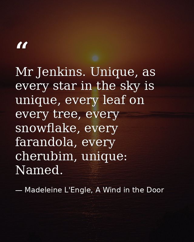 Mr Jenkins. Unique, as every star in the sky is unique, every leaf on every tree, every snowflake, every farandola, ever — Madeleine L'Engle, A Wind in the Door