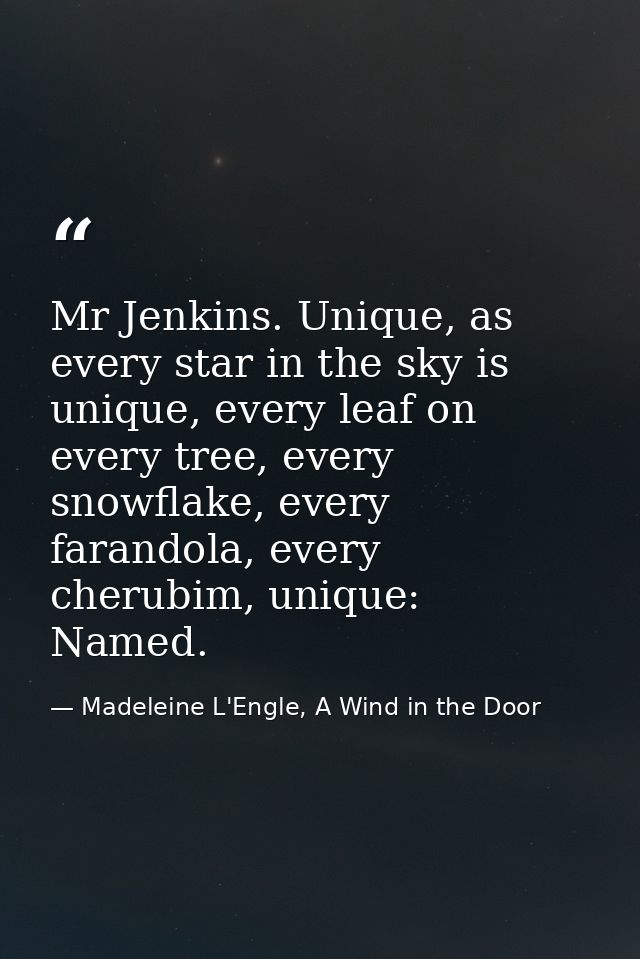 Mr Jenkins. Unique, as every star in the sky is unique, every leaf on every tree, every snowflake, every farandola, ever — Madeleine L'Engle, A Wind in the Door