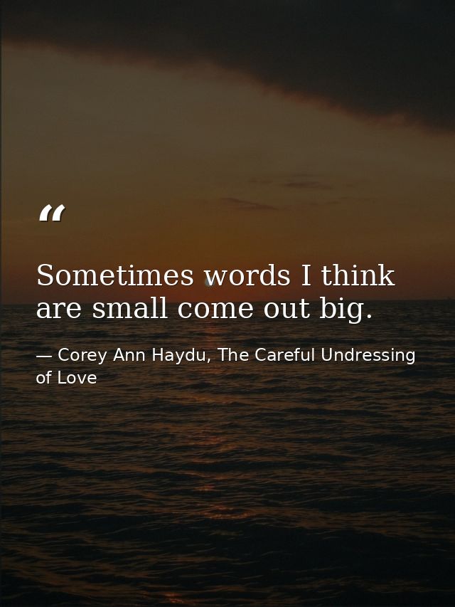 Sometimes words I think are small come out big. — Corey Ann Haydu, The Careful Undressing of Love