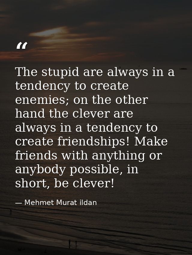 The stupid are always in a tendency to create enemies; on the other hand the clever are always in a tendency to create f — Mehmet Murat ildan