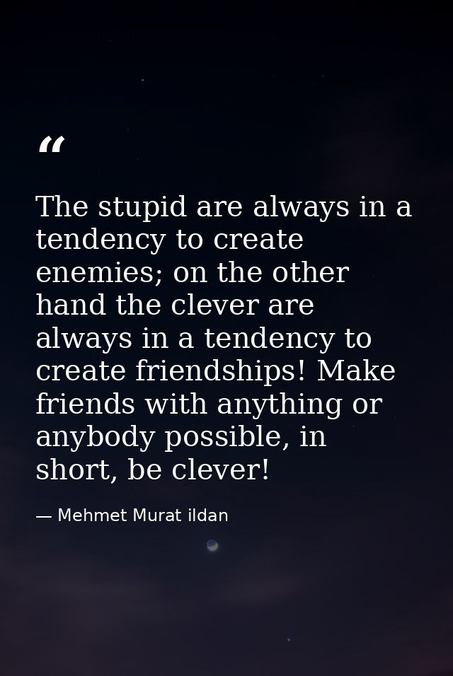 The stupid are always in a tendency to create enemies; on the other hand the clever are always in a tendency to create f — Mehmet Murat ildan