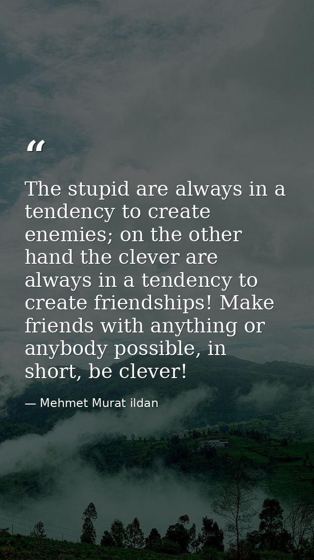 The stupid are always in a tendency to create enemies; on the other hand the clever are always in a tendency to create f — Mehmet Murat ildan