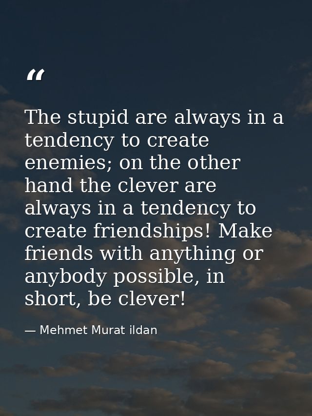 The stupid are always in a tendency to create enemies; on the other hand the clever are always in a tendency to create f — Mehmet Murat ildan