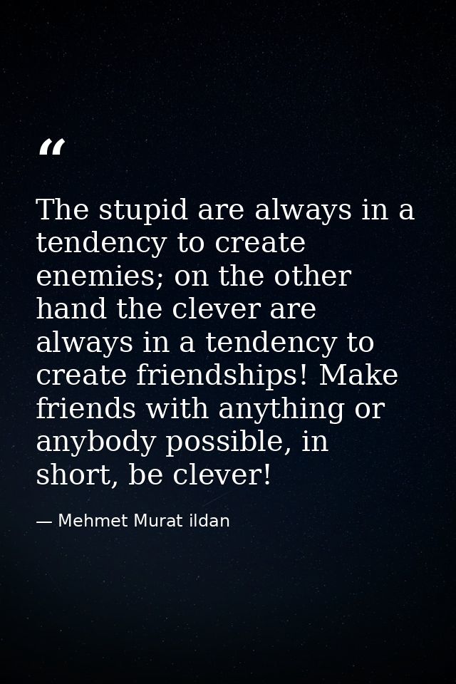 The stupid are always in a tendency to create enemies; on the other hand the clever are always in a tendency to create f — Mehmet Murat ildan