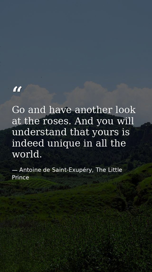 Go and have another look at the roses. And you will understand that yours is indeed unique in all the world. — Antoine de Saint-Exupéry, The Little Prince