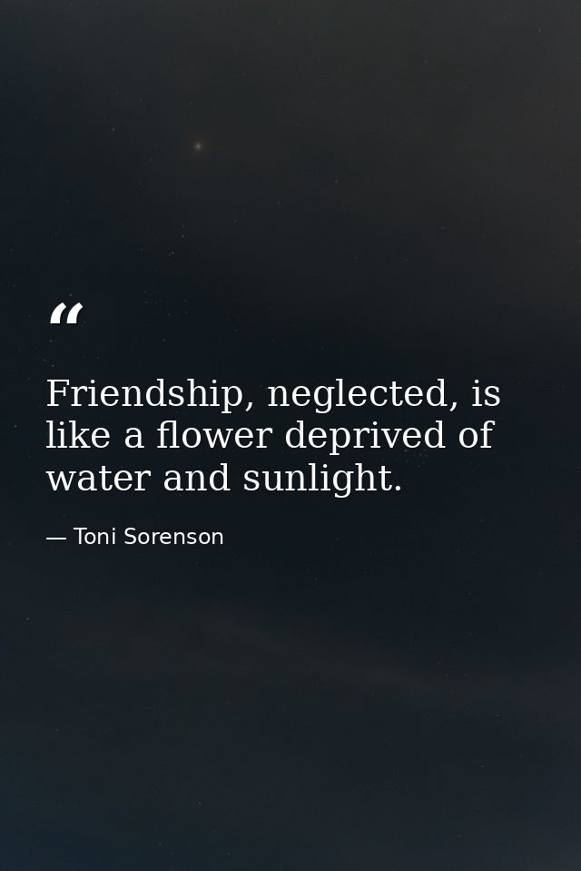 Friendship, neglected, is like a flower deprived of water and sunlight. — Toni Sorenson