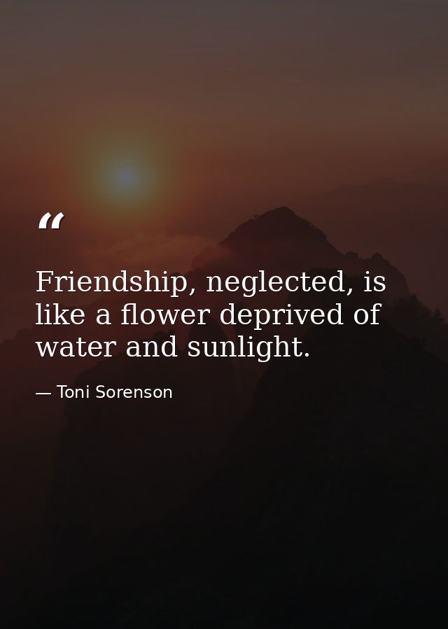 Friendship, neglected, is like a flower deprived of water and sunlight. — Toni Sorenson