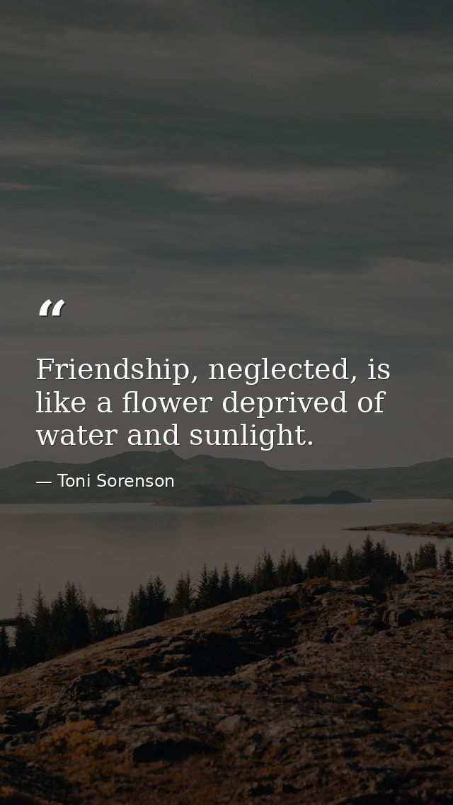 Friendship, neglected, is like a flower deprived of water and sunlight. — Toni Sorenson