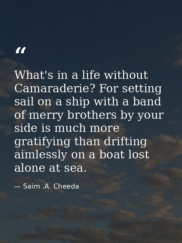 What's in a life without Camaraderie? For setting sail on a ship with a band of merry brothers by your side is much more — Saim .A. Cheeda