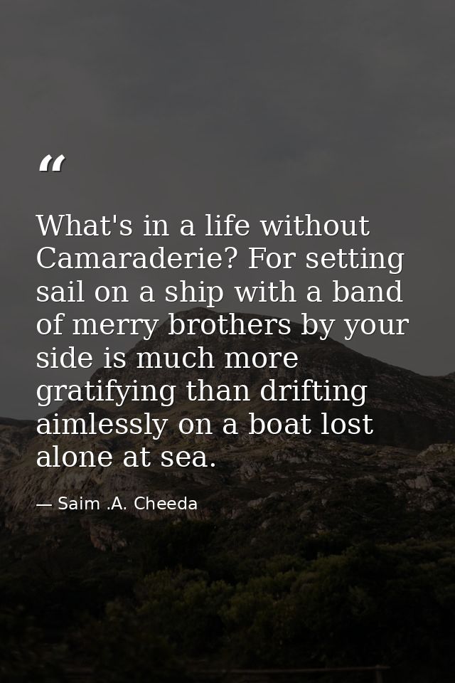 What's in a life without Camaraderie? For setting sail on a ship with a band of merry brothers by your side is much more — Saim .A. Cheeda