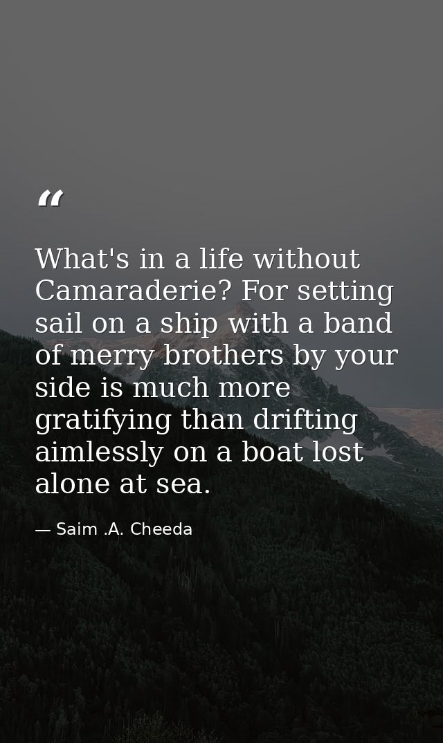 What's in a life without Camaraderie? For setting sail on a ship with a band of merry brothers by your side is much more — Saim .A. Cheeda