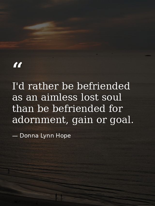 I'd rather be befriended as an aimless lost soul than be befriended for adornment, gain or goal. — Donna Lynn Hope