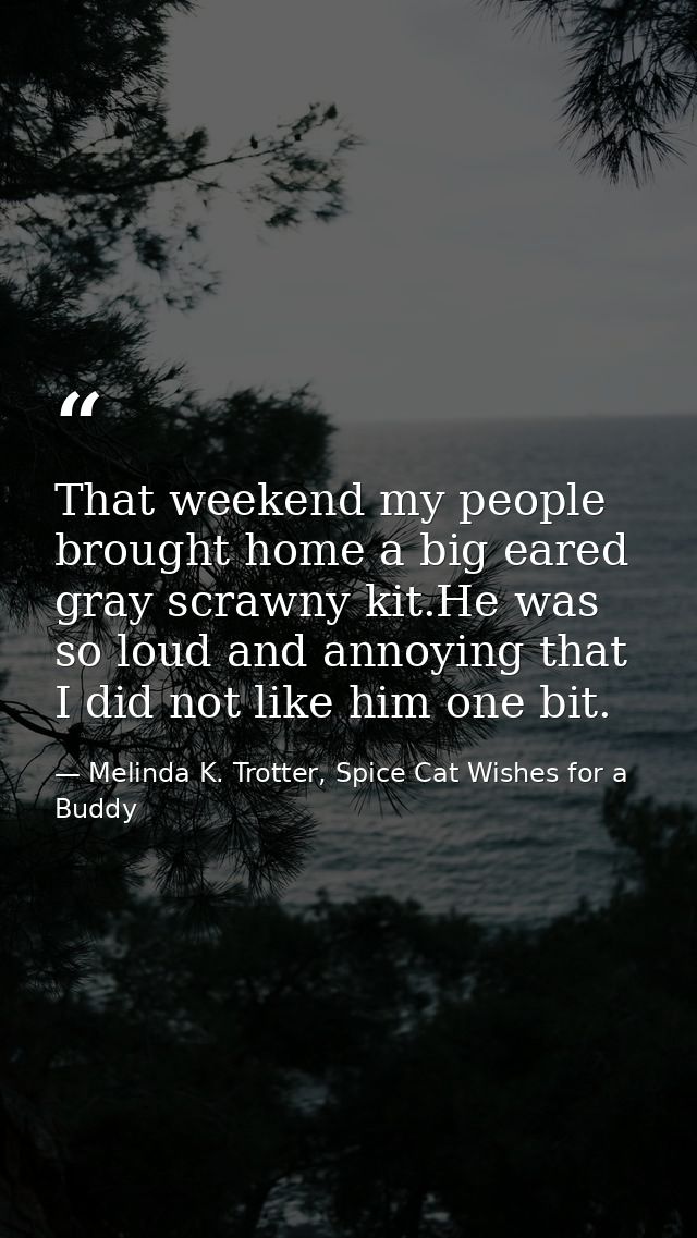That weekend my people brought home a big eared gray scrawny kit.He was so loud and annoying that I did not like him one — Melinda K. Trotter, Spice Cat Wishes for a Buddy