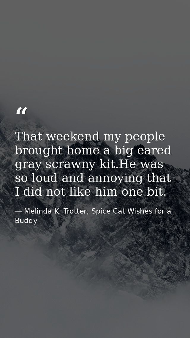 That weekend my people brought home a big eared gray scrawny kit.He was so loud and annoying that I did not like him one — Melinda K. Trotter, Spice Cat Wishes for a Buddy