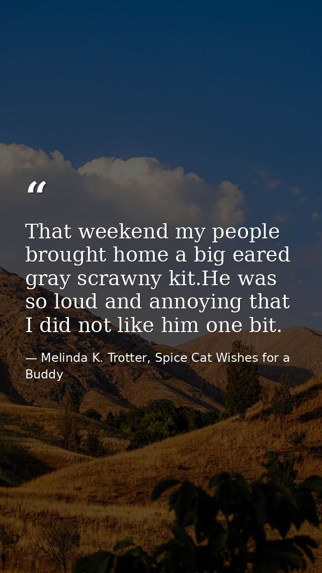 That weekend my people brought home a big eared gray scrawny kit.He was so loud and annoying that I did not like him one — Melinda K. Trotter, Spice Cat Wishes for a Buddy