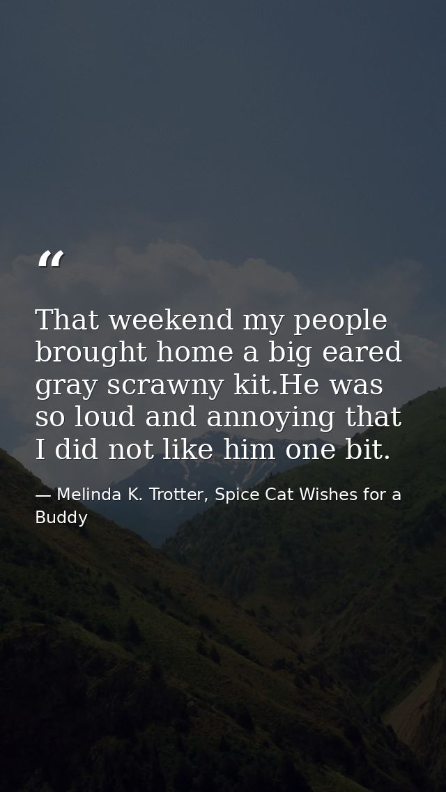That weekend my people brought home a big eared gray scrawny kit.He was so loud and annoying that I did not like him one — Melinda K. Trotter, Spice Cat Wishes for a Buddy